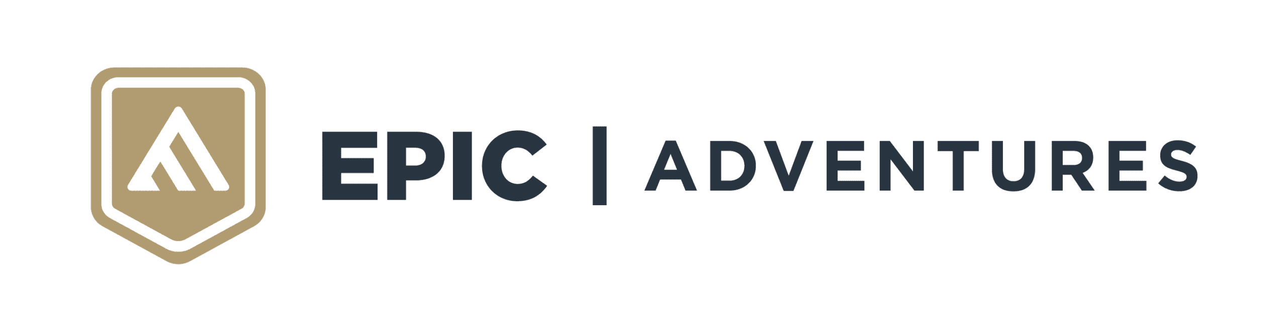 Website Project